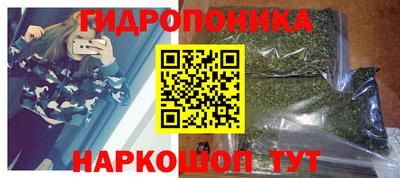 шишки Ирбит