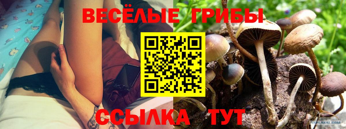 Псилоцибиновые грибы GOLDEN TEACHER Лабытнанги