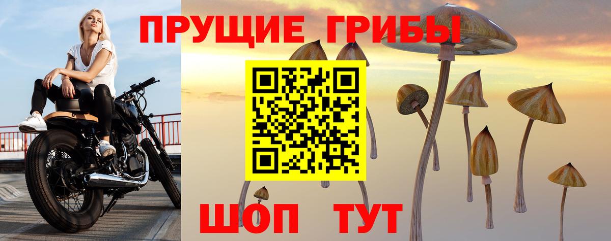 Лабытнанги  Галлюциногенные грибы Cubensis  Псилоцибиновые грибы мицелий  Вход с VPN 